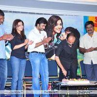 Solo Movie Success Meet - Pictures | Picture 133024